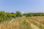Zemljiste, Rovinj, prodaja, 210000 €, 1037 m2