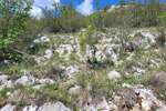 Zemljiste, Buzet, prodaja, 90000 €, 22695 m2