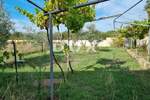 Kuca, Ližnjan, Šišan, prodaja, 395000 €, 220 m2