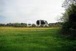 Zemljiste, Pula, Centar, prodaja, 1144000 €, 16000 m2