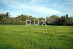 Zemljiste, Pula, Centar, prodaja, 1144000 €, 16000 m2