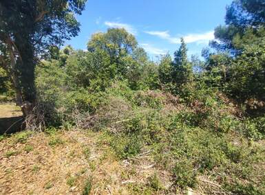 Zemljiste, Medulin, Premantura, prodaja, 338000 €, 1300 m2