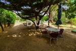 Kuca, Pag, prodaja, 520000 €, 263 m2