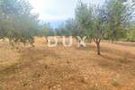 Zemljiste, Vodnjan, Peroj, prodaja, 104000 €, 3187 m2