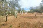 Zemljiste, Vodnjan, Peroj, prodaja, 104000 €, 3187 m2