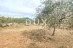 Zemljiste, Vodnjan, Peroj, prodaja, 104000 €, 3187 m2
