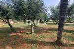 Kuca, Poreč, prodaja, 572000 €, 230 m2