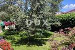 Kuca, Medulin, Pomer, prodaja, 1150000 €, 450 m2