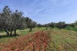 Kuca, Fažana, prodaja, 280000 €, 66 m2