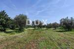 Kuca, Fažana, prodaja, 280000 €, 66 m2