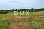 Zemljiste, Buje, Kaldanija, prodaja, 294000 €, 49000 m2
