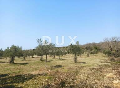 Zemljiste, Rovinj, prodaja, 245000 €, 15475 m2