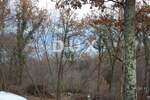 Zemljiste, Opatija, Veprinac, prodaja, 135000 €, 2783 m2