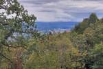 Zemljiste, Matulji, Rukavac, prodaja, 130000 €, 3100 m2
