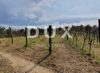 Zemljiste, Gračišće, prodaja, 110000 €, 50860 m2