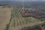 Zemljiste, Kanfanar, Jural, prodaja, 205000 €, 18771 m2