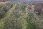 Zemljiste, Kanfanar, Jural, prodaja, 205000 €, 18771 m2