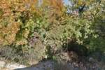 Zemljiste, Rijeka, Srdoči, prodaja, 187000 €, 1751 m2