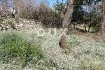 Zemljiste, Lovran, prodaja, 260000 €, 984 m2