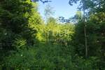 Zemljiste, Vrbovsko, prodaja, 52000 €, 2216 m2