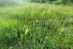 Zemljiste, Delnice, prodaja, 73000 €, 747 m2