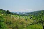 Kuca, Buzet, prodaja, 59000 €, 240 m2