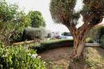 Kuca, Poreč, prodaja, 850000 €, 300 m2