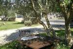 Kuca, Zadar, prodaja, 380000 €, 50 m2
