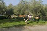 Kuca, Zadar, prodaja, 380000 €, 50 m2