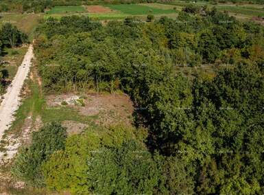 Zemljiste, Svetvinčenat, prodaja, 101000 €, 0 m2