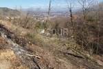 Zemljiste, Matulji, Rukavac, prodaja, 120000 €, 120000 m2