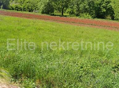 Zemljiste, Motovun, prodaja, 87000 €, 525 m2