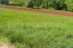 Zemljiste, Motovun, prodaja, 173000 €, 1050 m2