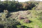 Zemljiste, Vrsar, prodaja, 99000 €, 1214 m2
