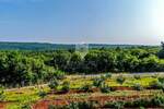 Kuca, Rovinj, prodaja, 675000 €, 220 m2