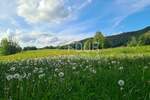 Kuca, Mrkopalj, Begovo Razdolje, prodaja, 296000 €, 210 m2