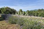 Kuca, Labin, prodaja, 1660000 €, 300 m2