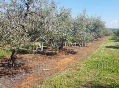 Zemljiste, Novigrad, prodaja, 60960 €, 3048 m2