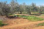 Zemljiste, Novigrad, prodaja, 57360 €, 2868 m2