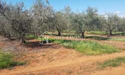 Zemljiste, Novigrad, prodaja, 57360 €, 2868 m2