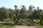 Zemljiste, Novigrad, prodaja, 57360 €, 2868 m2