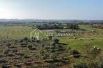 Zemljiste, Novigrad, prodaja, 57360 €, 2868 m2
