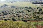 Zemljiste, Novigrad, prodaja, 57360 €, 2868 m2