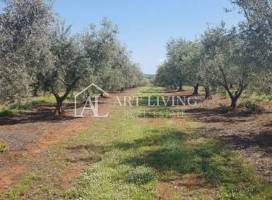 Zemljiste, Novigrad, prodaja, 68880 €, 3444 m2