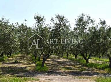 Zemljiste, Novigrad, prodaja, 144040 €, 7202 m2