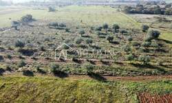 Zemljiste, Novigrad, prodaja, 293800 €, 14690 m2