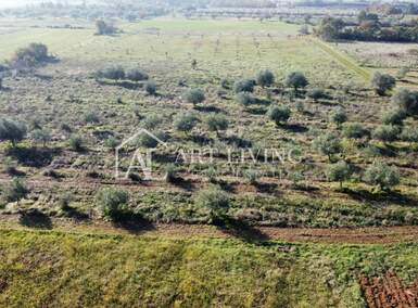 Zemljiste, Novigrad, prodaja, 293800 €, 14690 m2