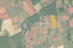 Zemljiste, Novigrad, prodaja, 293800 €, 14690 m2