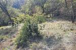 Zemljiste, Čavle, Podrvanj, prodaja, 110000 €, 2643 m2