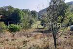 Zemljiste, Čavle, Podrvanj, prodaja, 110000 €, 2643 m2